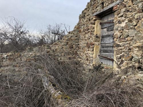 Tour de Courcourt [12-02-2022](IMG_4316).jpg